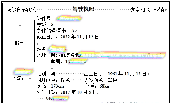 车管所备案翻译公司